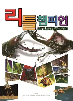 리틀 챔피언