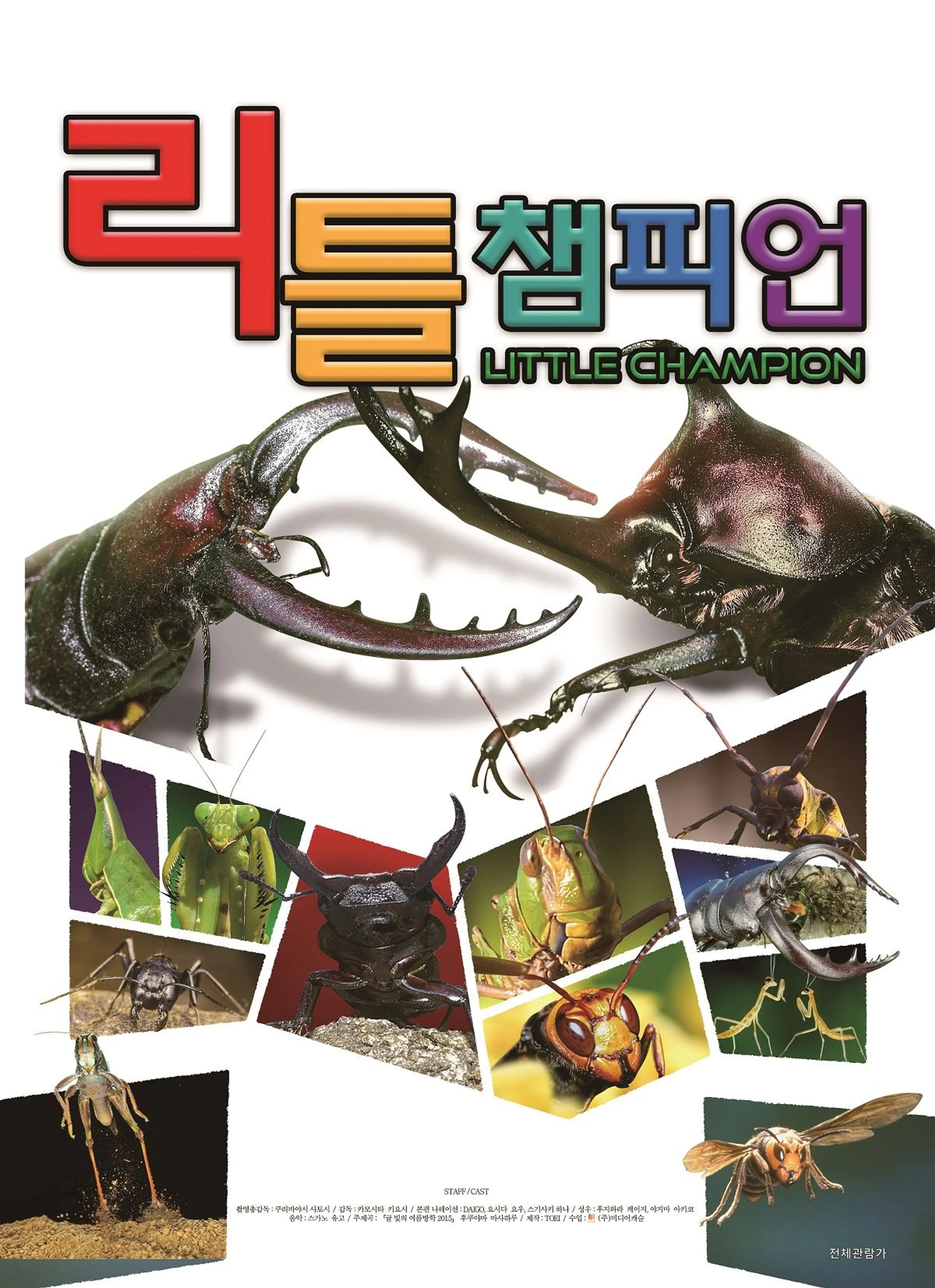 리틀 챔피언
