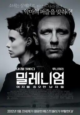 밀레니엄 : 여자를 증오한 남자들