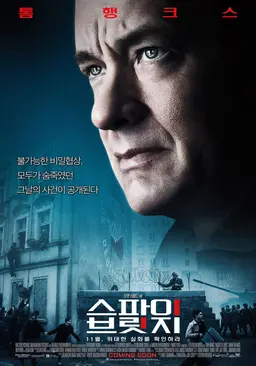 스파이 브릿지