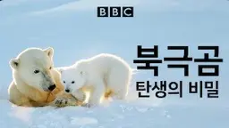 북극곰 탄생의 비밀