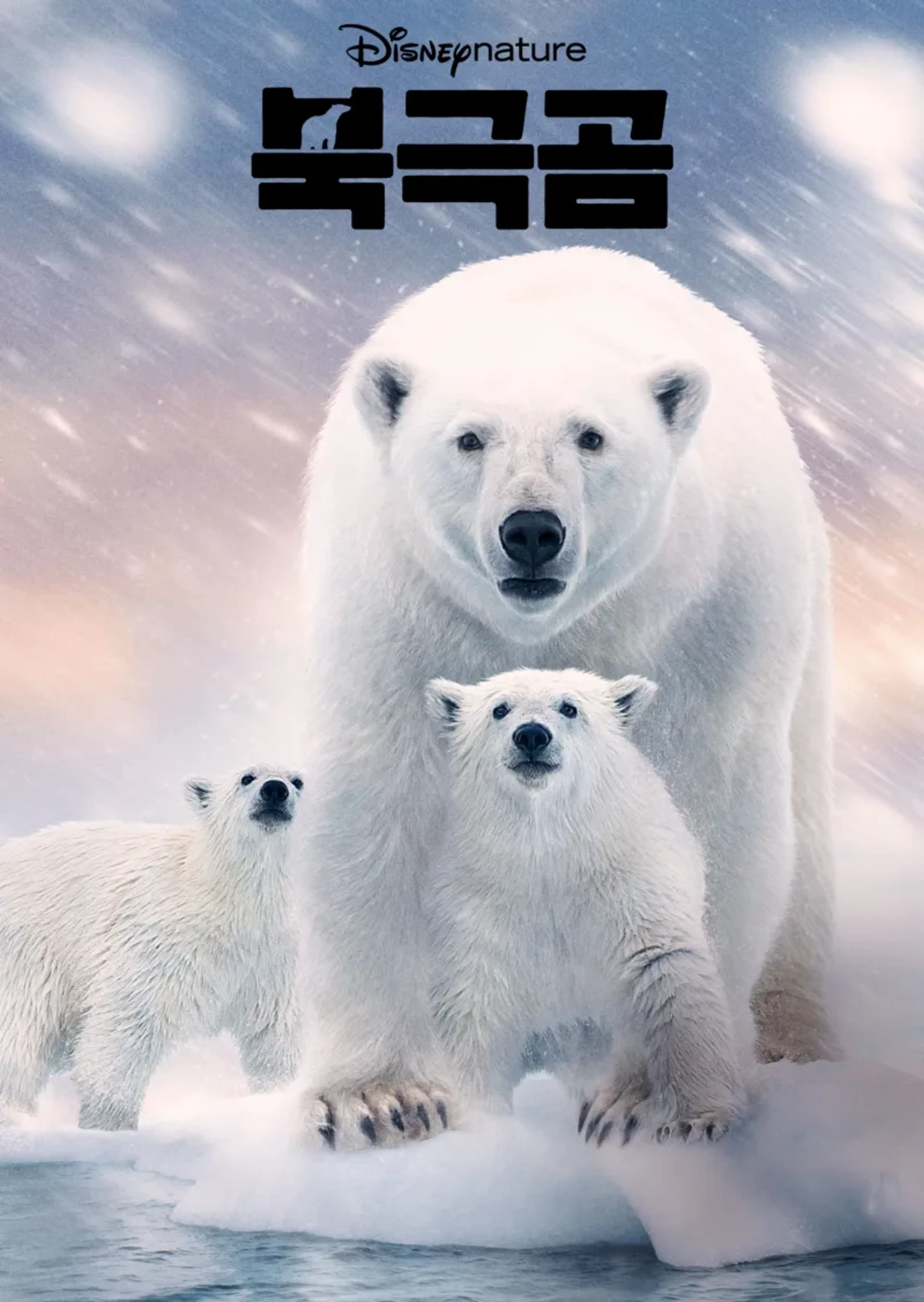 북극곰