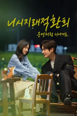 니시지래적환희: 운명처럼 너에게로