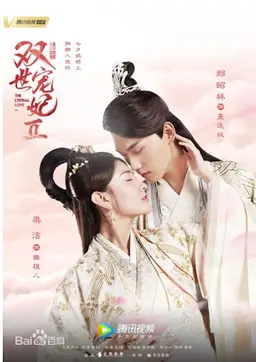 쌍세총비2