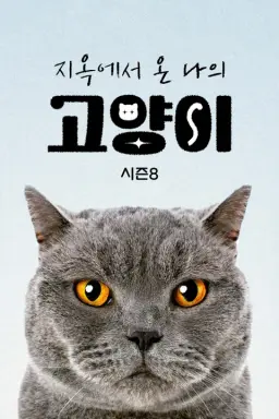 지옥에서 온 나의 고양이 시즌8