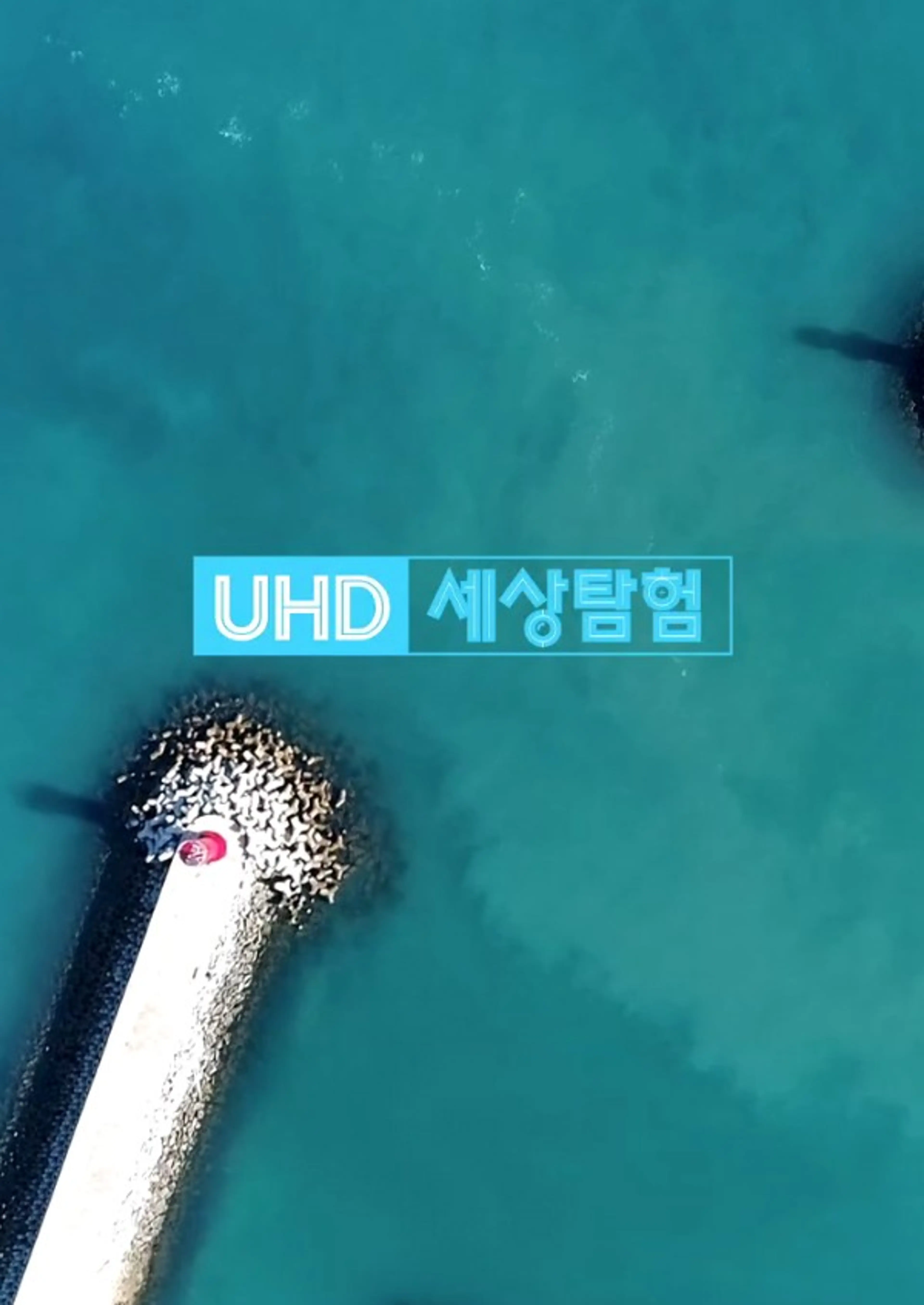 UHD 세상탐험