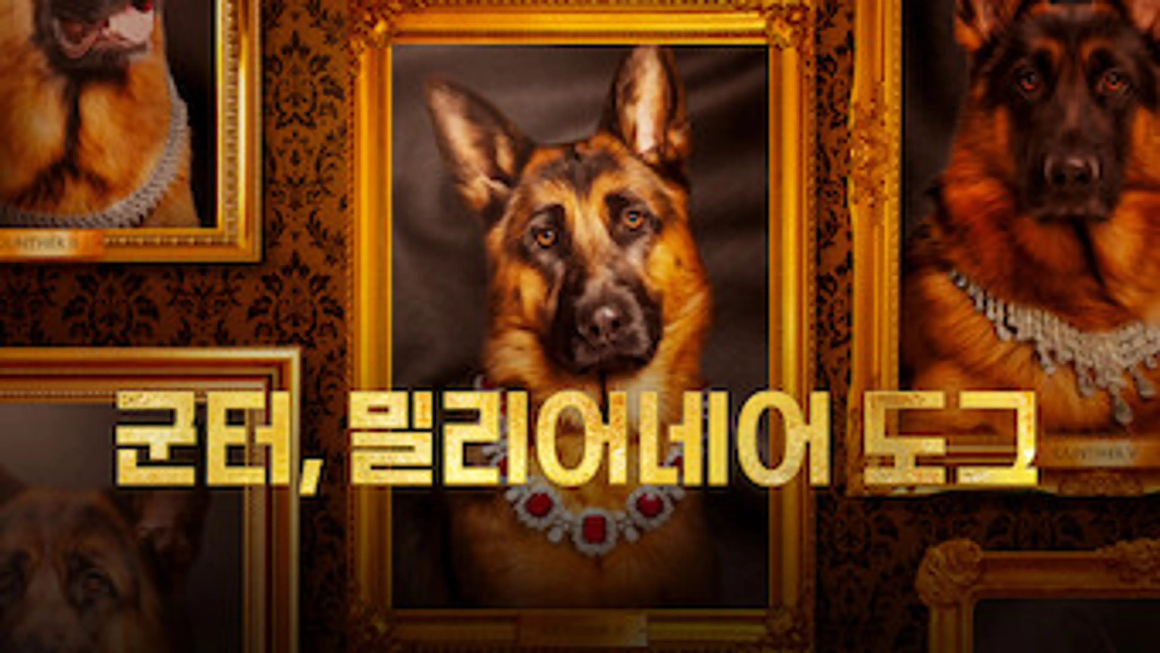 군터, 밀리어네어 도그