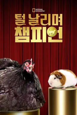 털 날리며 챔피언