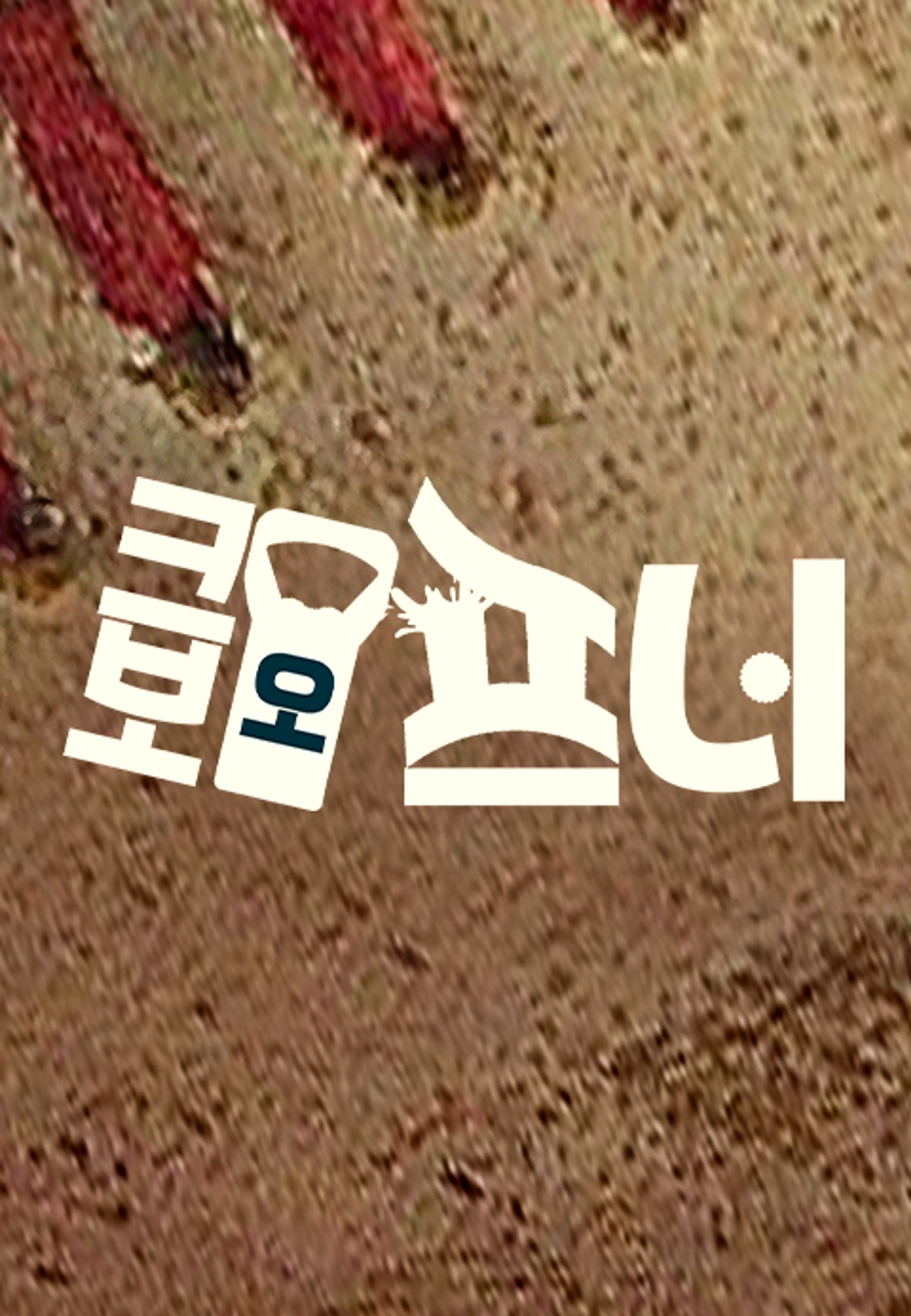 크보오프너