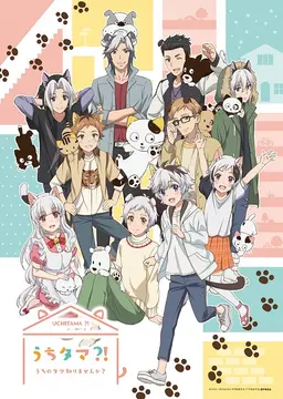 우치타마?! ~우리집 타마를 모르시나요?~