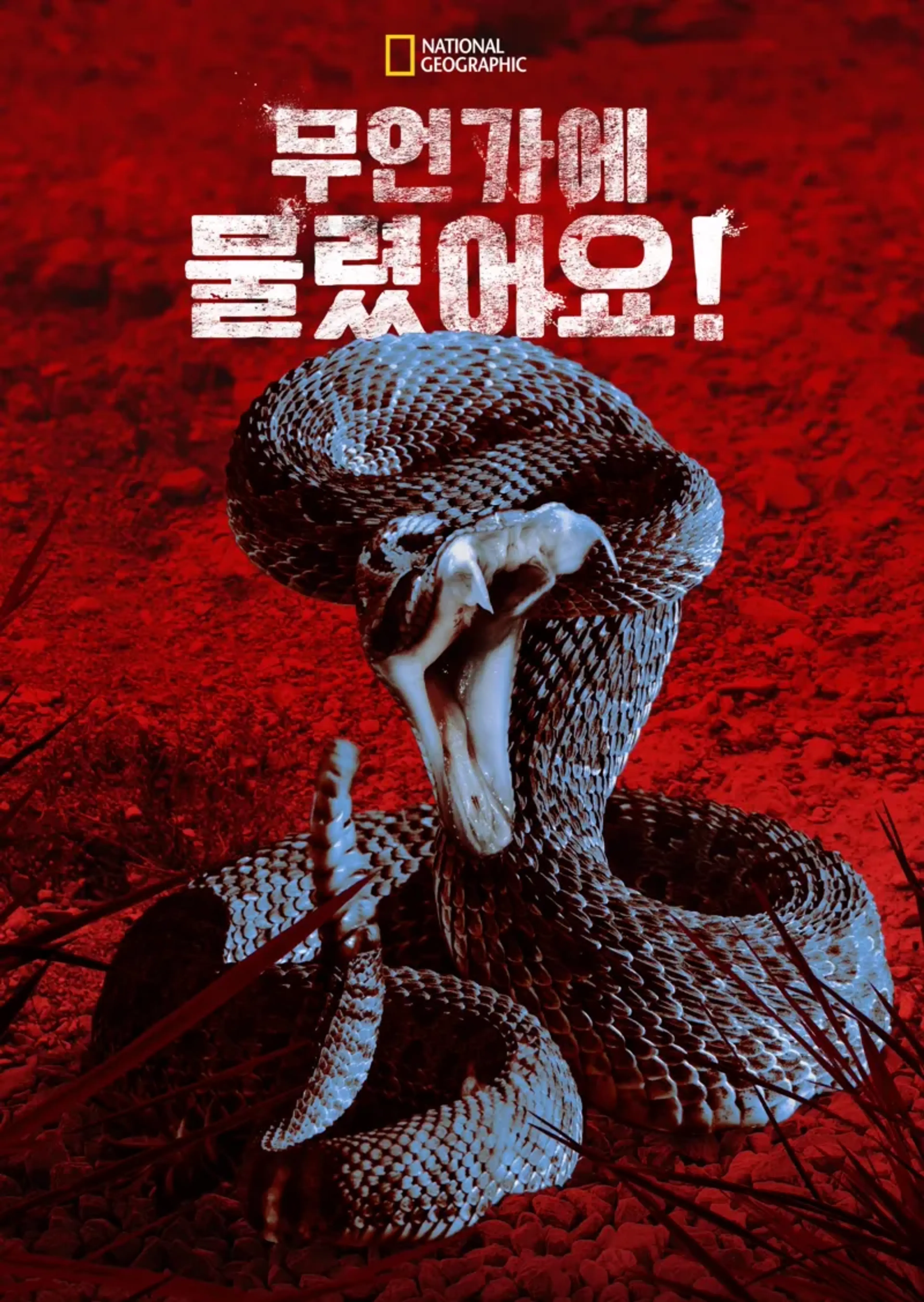 무언가에 물렸어요!