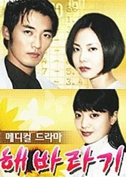 해바라기