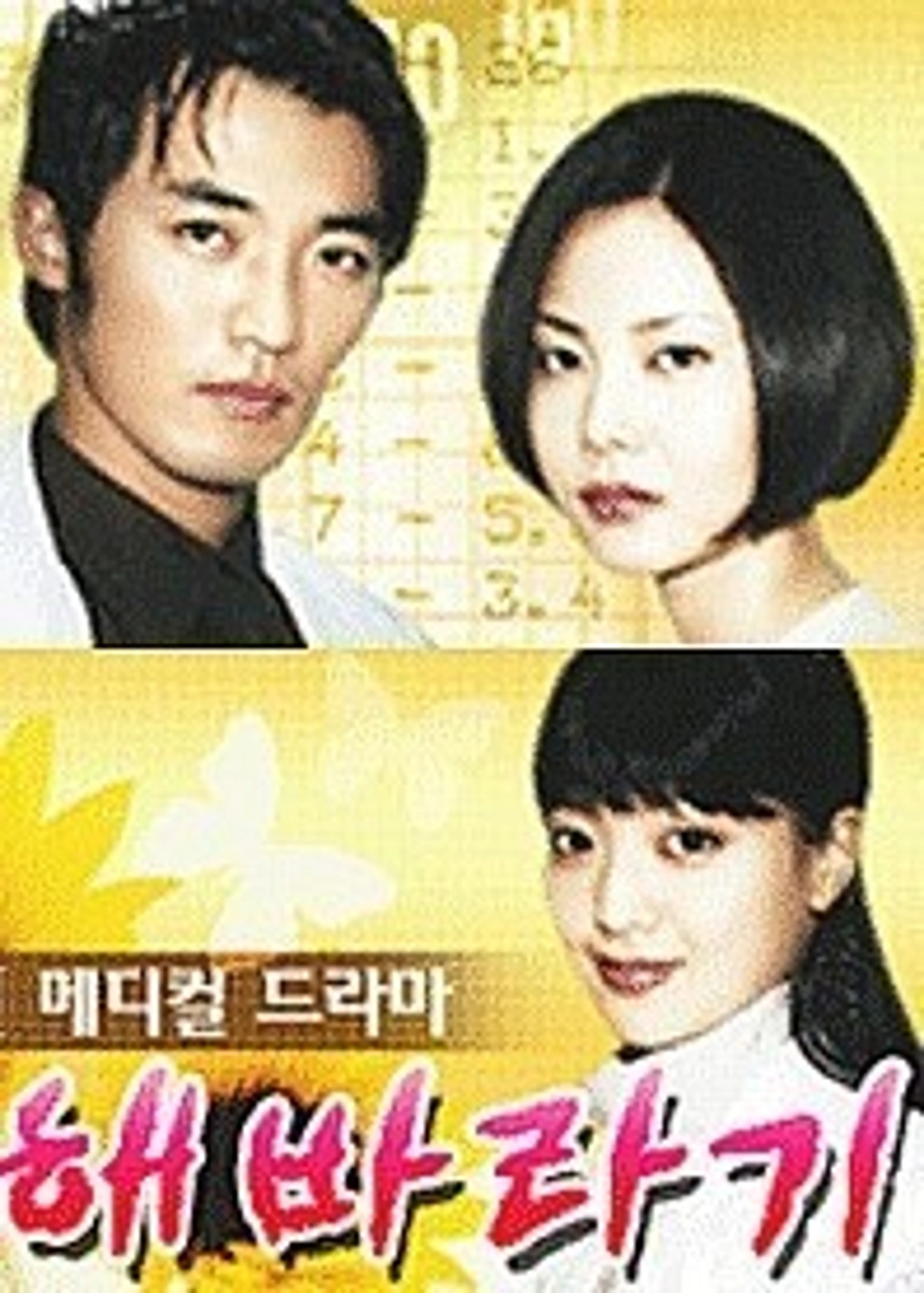 해바라기