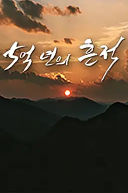 5억 년의 흔적