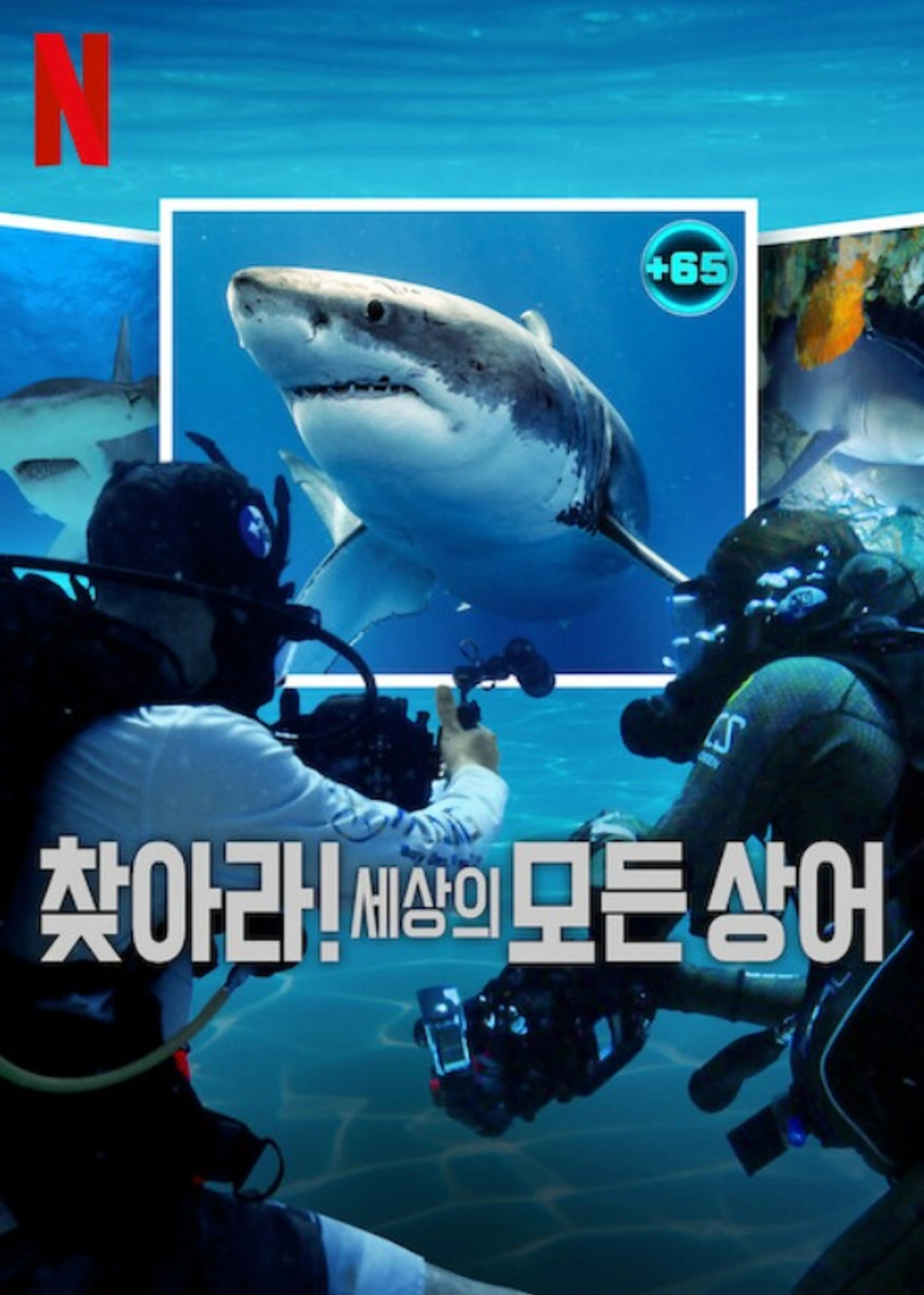 찾아라! 세상의 모든 상어
