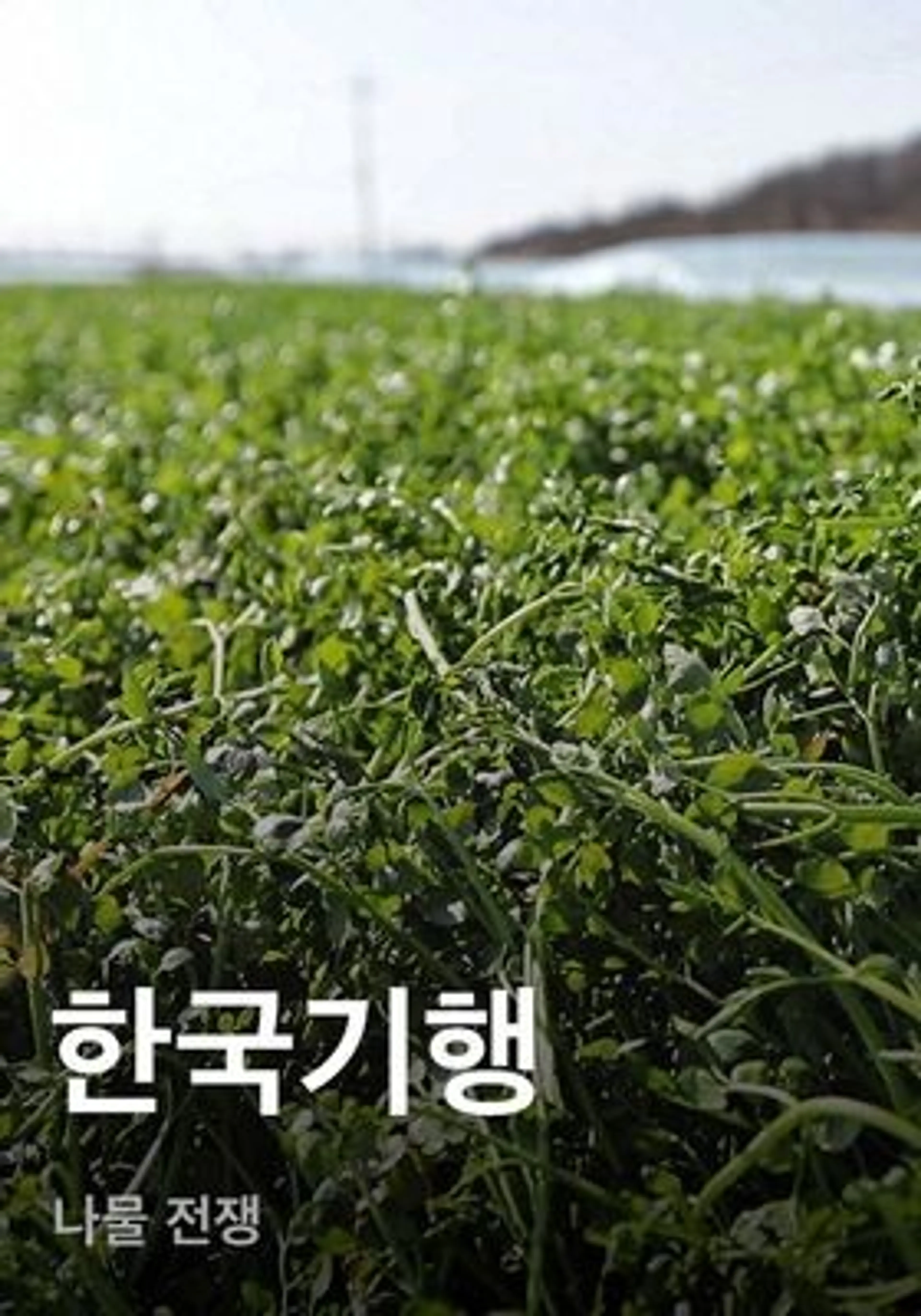 한국기행 - 나물 전쟁