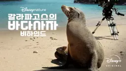 갈라파고스의 바다사자 비하인드