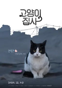 고양이 집사