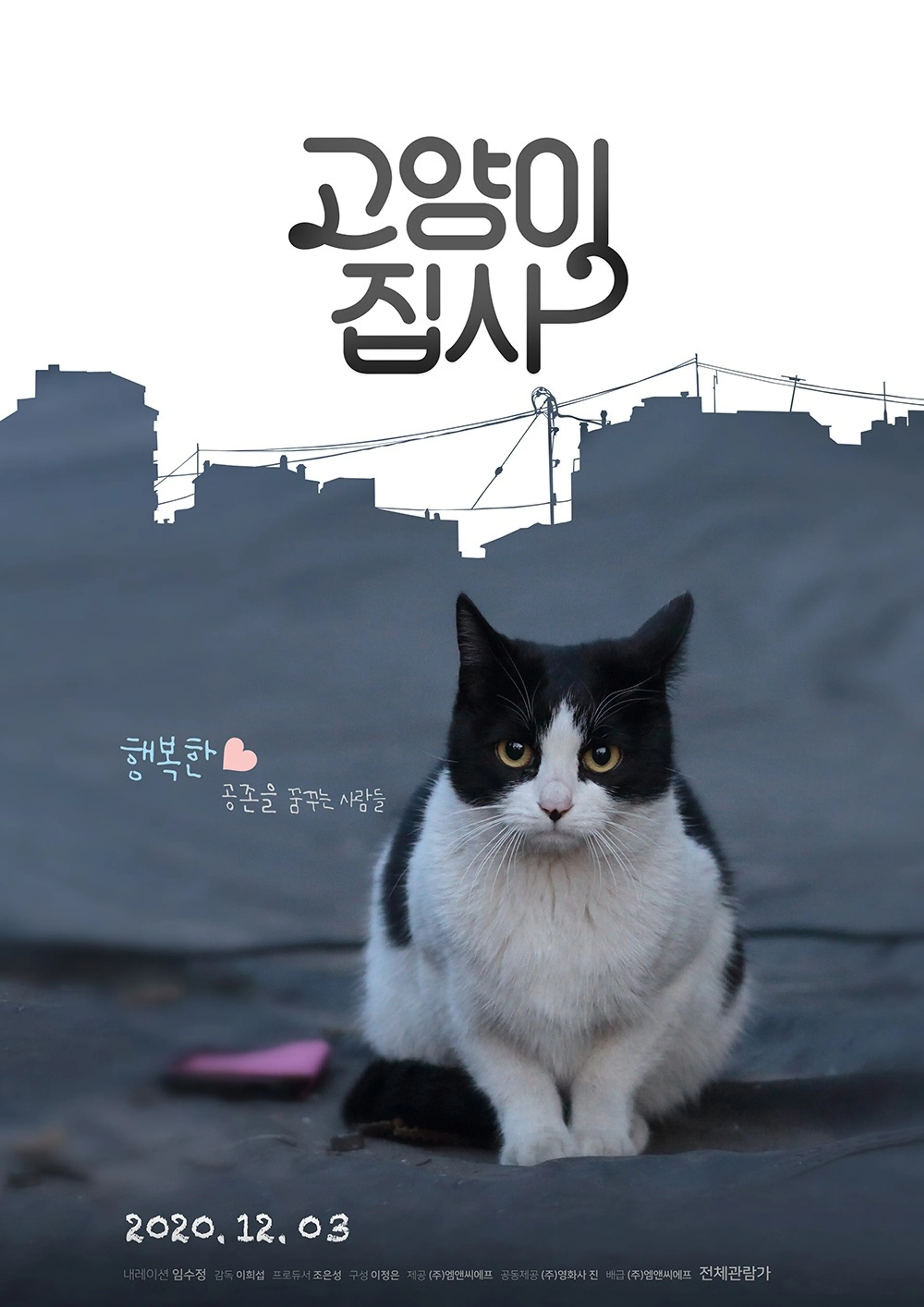 고양이 집사