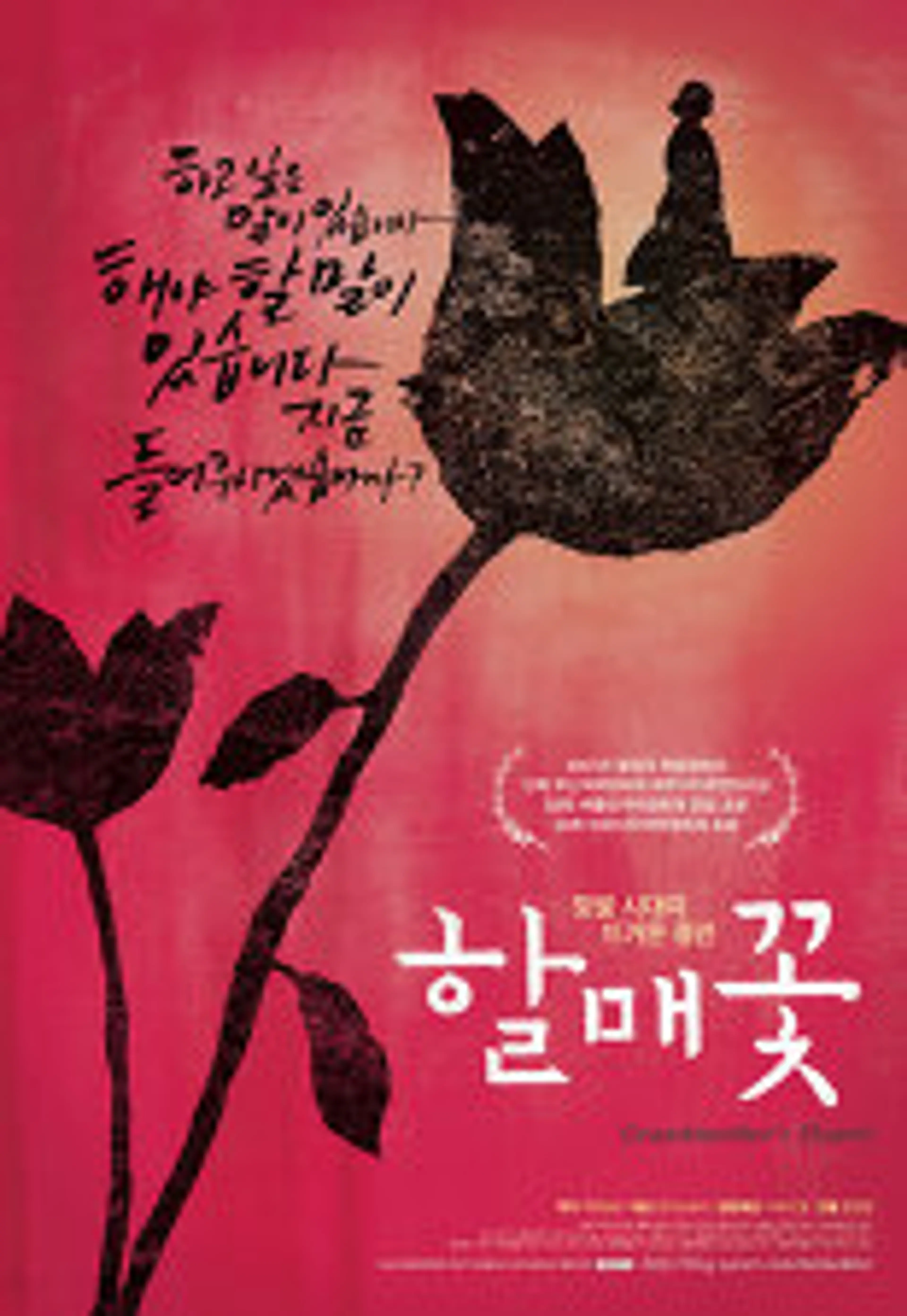 할매꽃