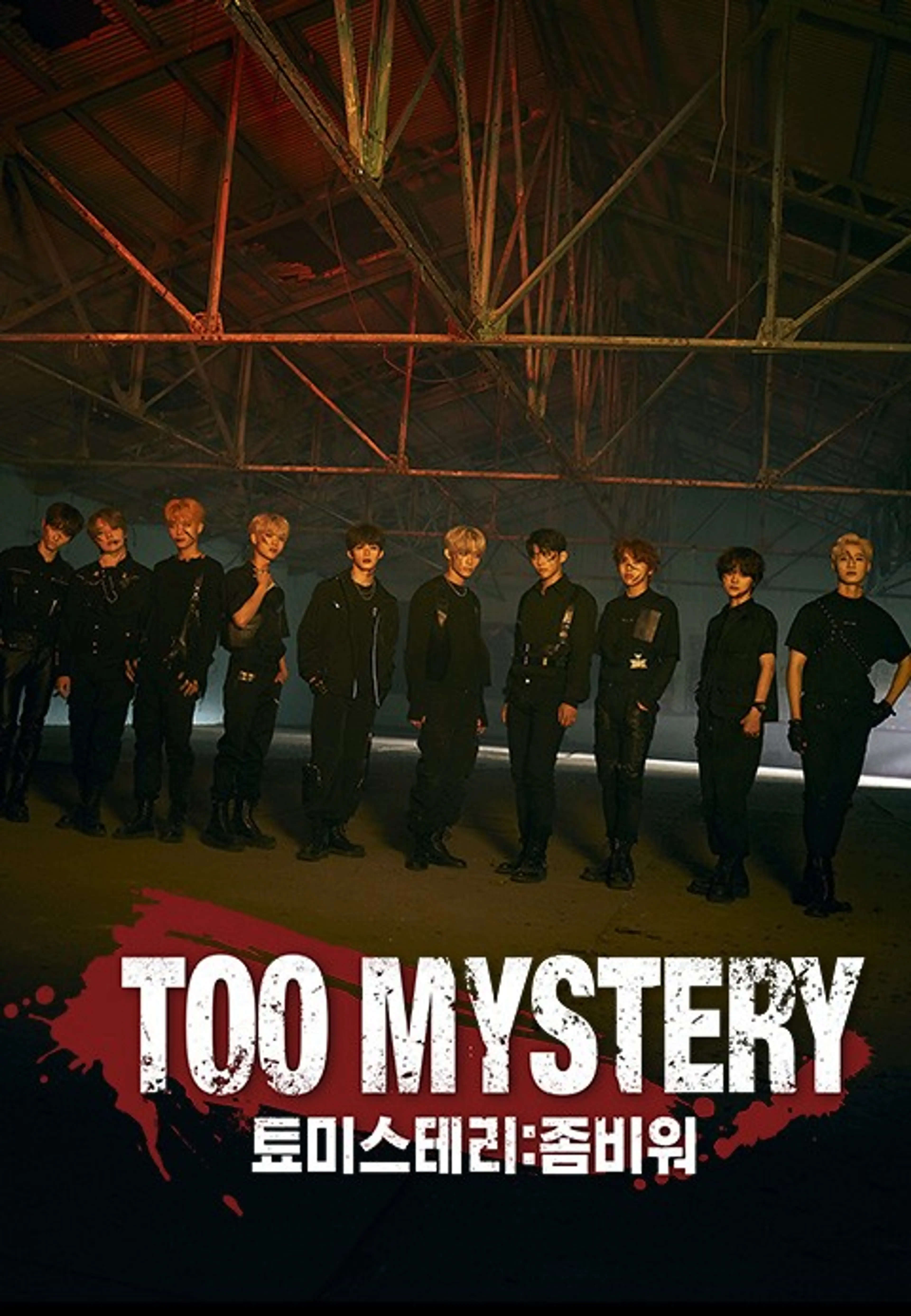 TOO MYSTERY