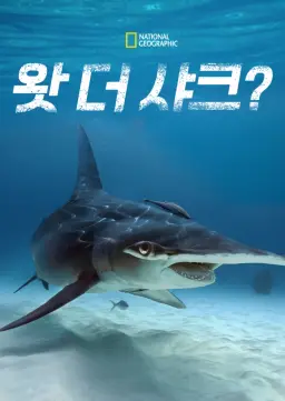 왓 더 샤크?