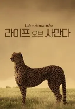 라이프 오브 사만다