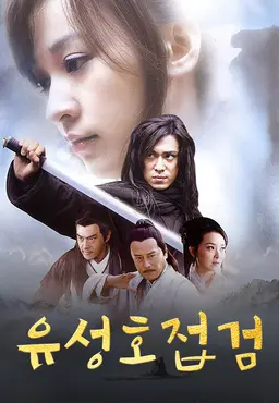 유성호접검