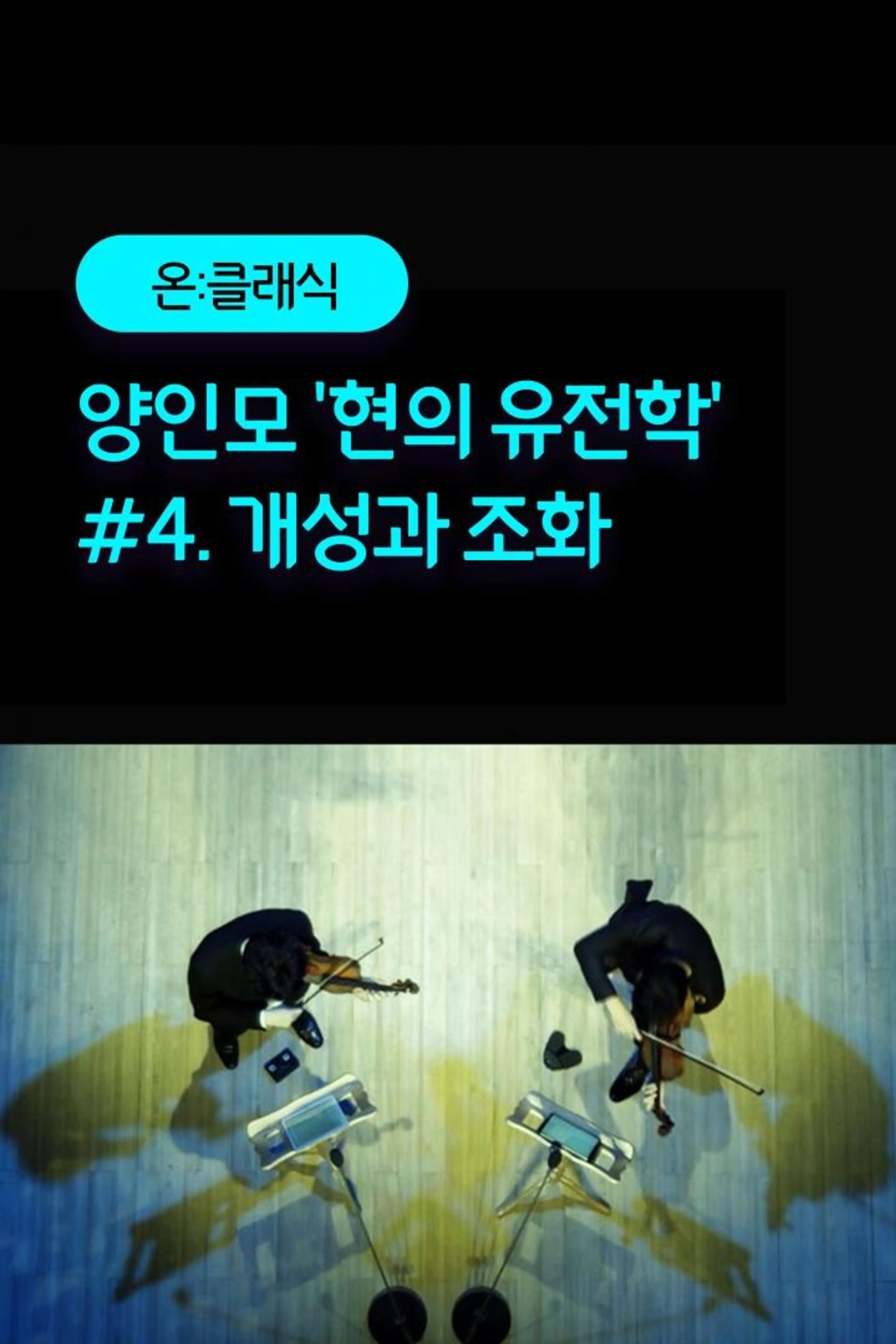 양인모 '현의 유전학' #4. 개성과 조화