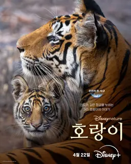 호랑이