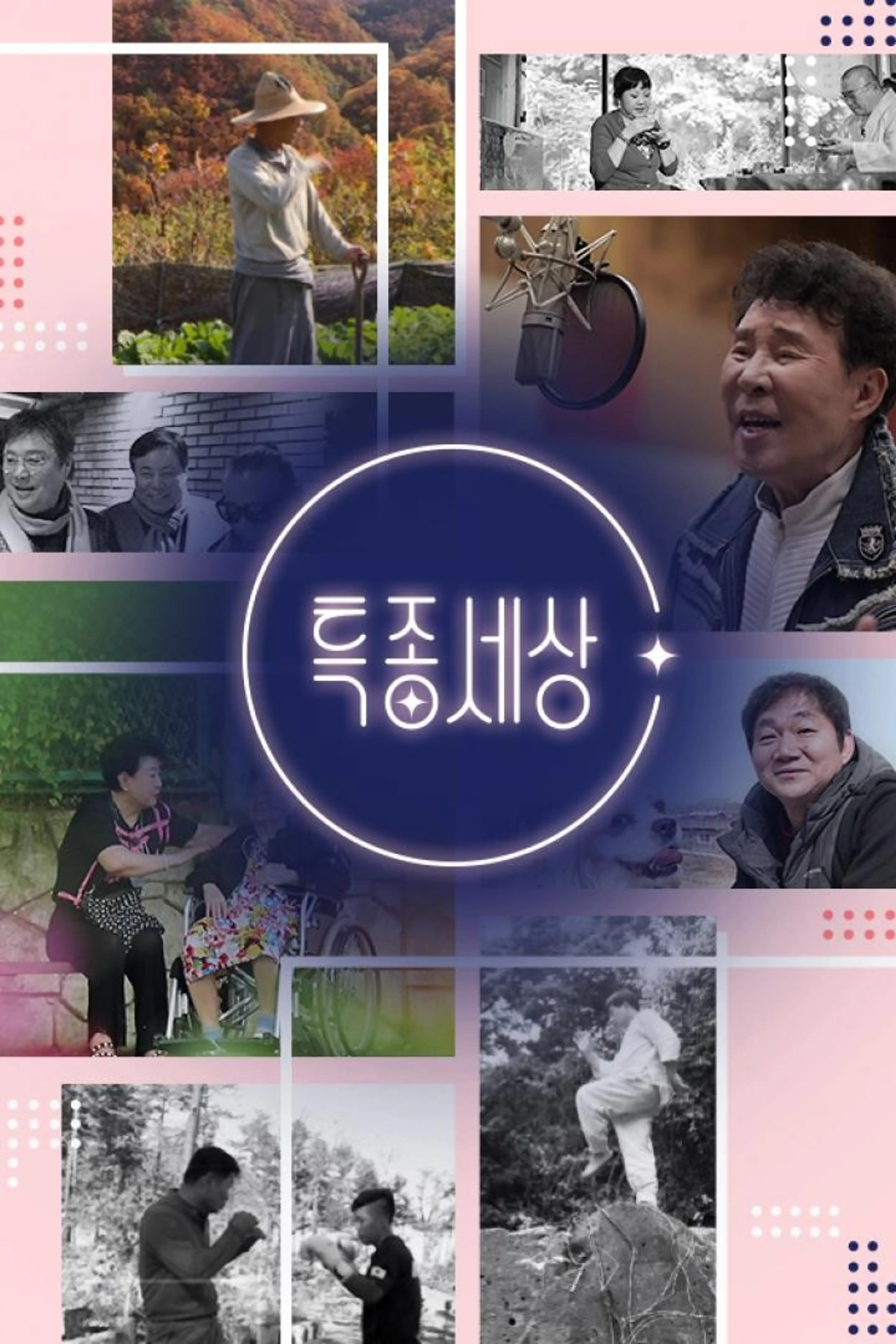 특종세상