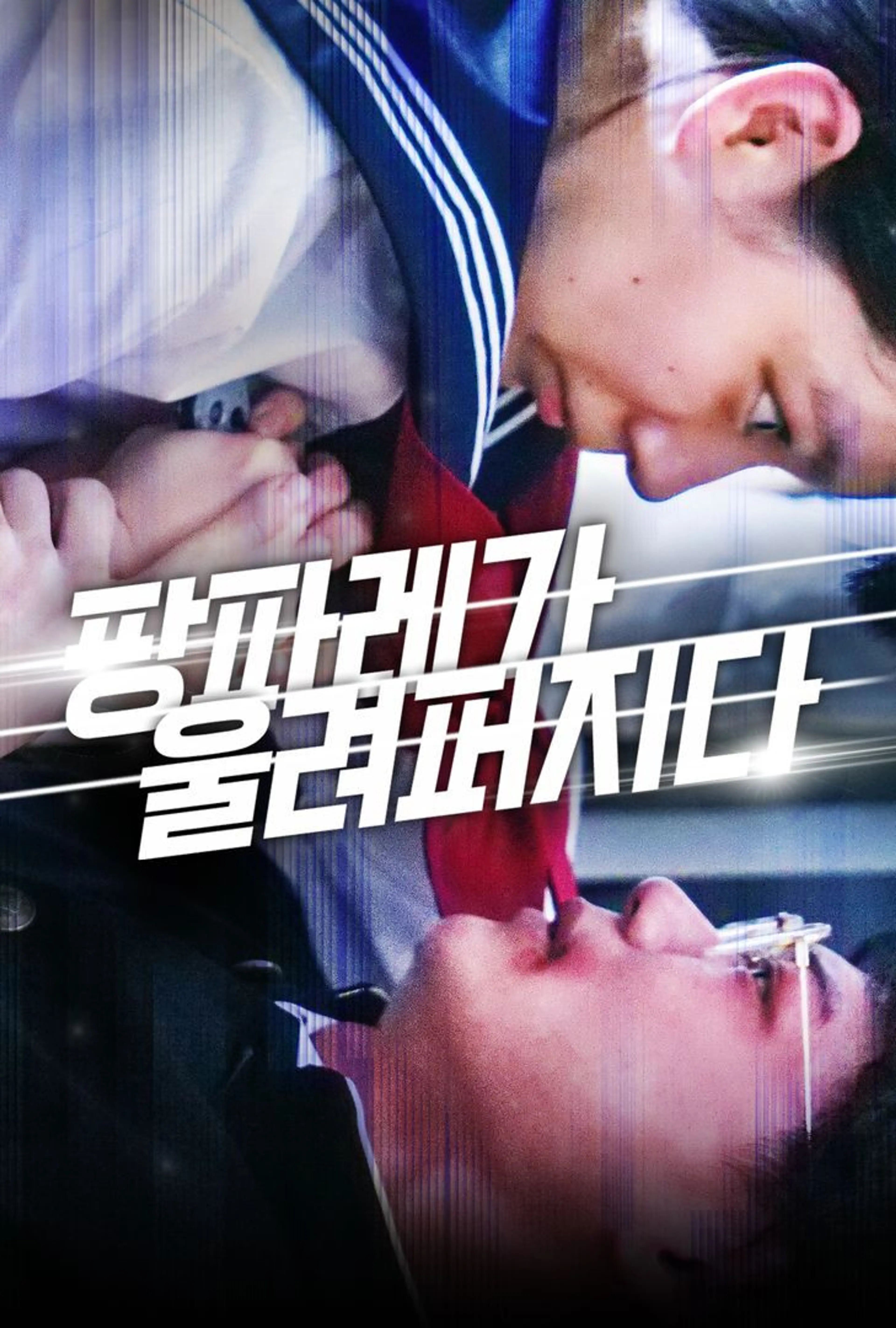 팡파레가 울려퍼지다