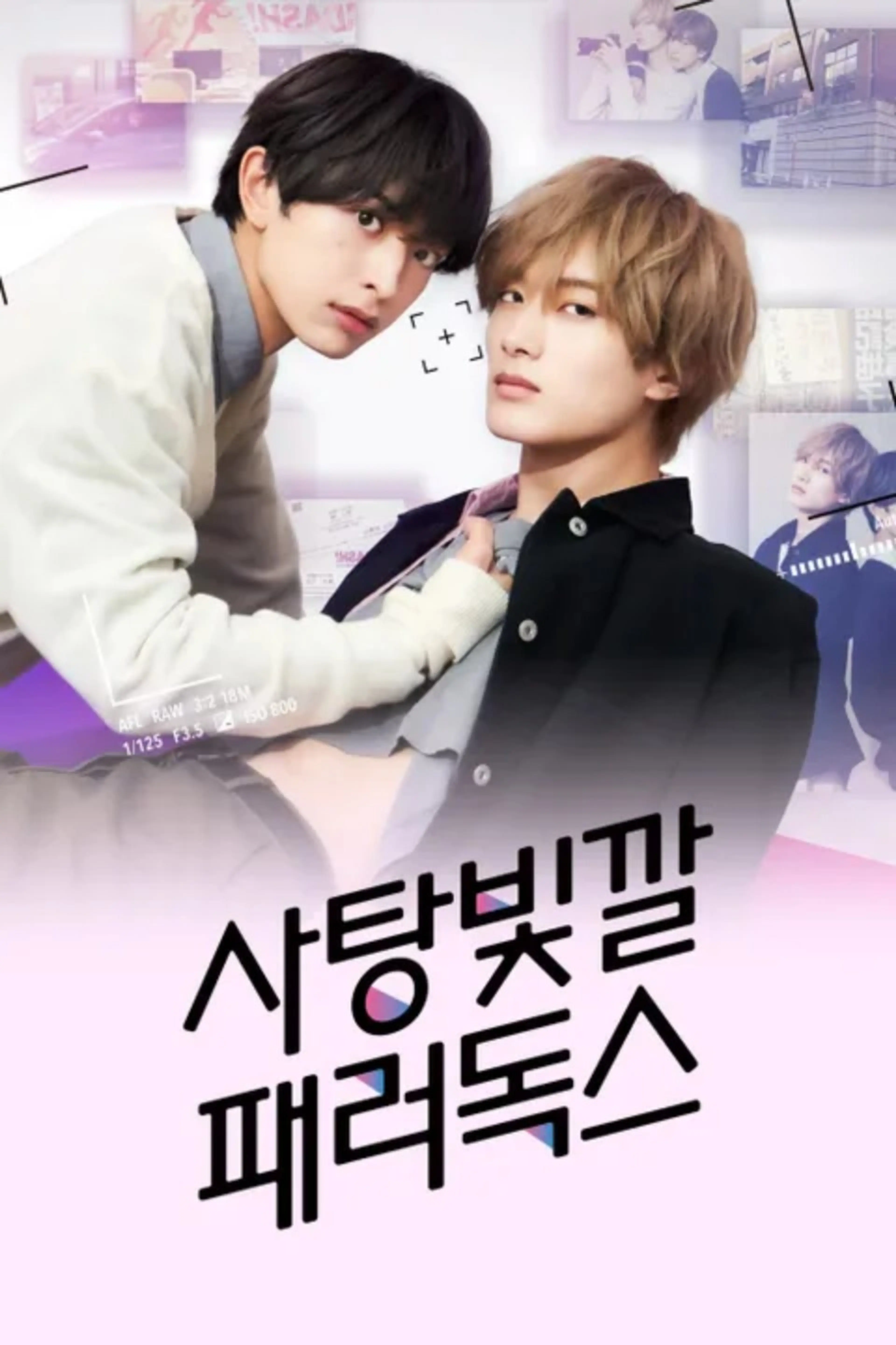 사탕빛깔 패러독스