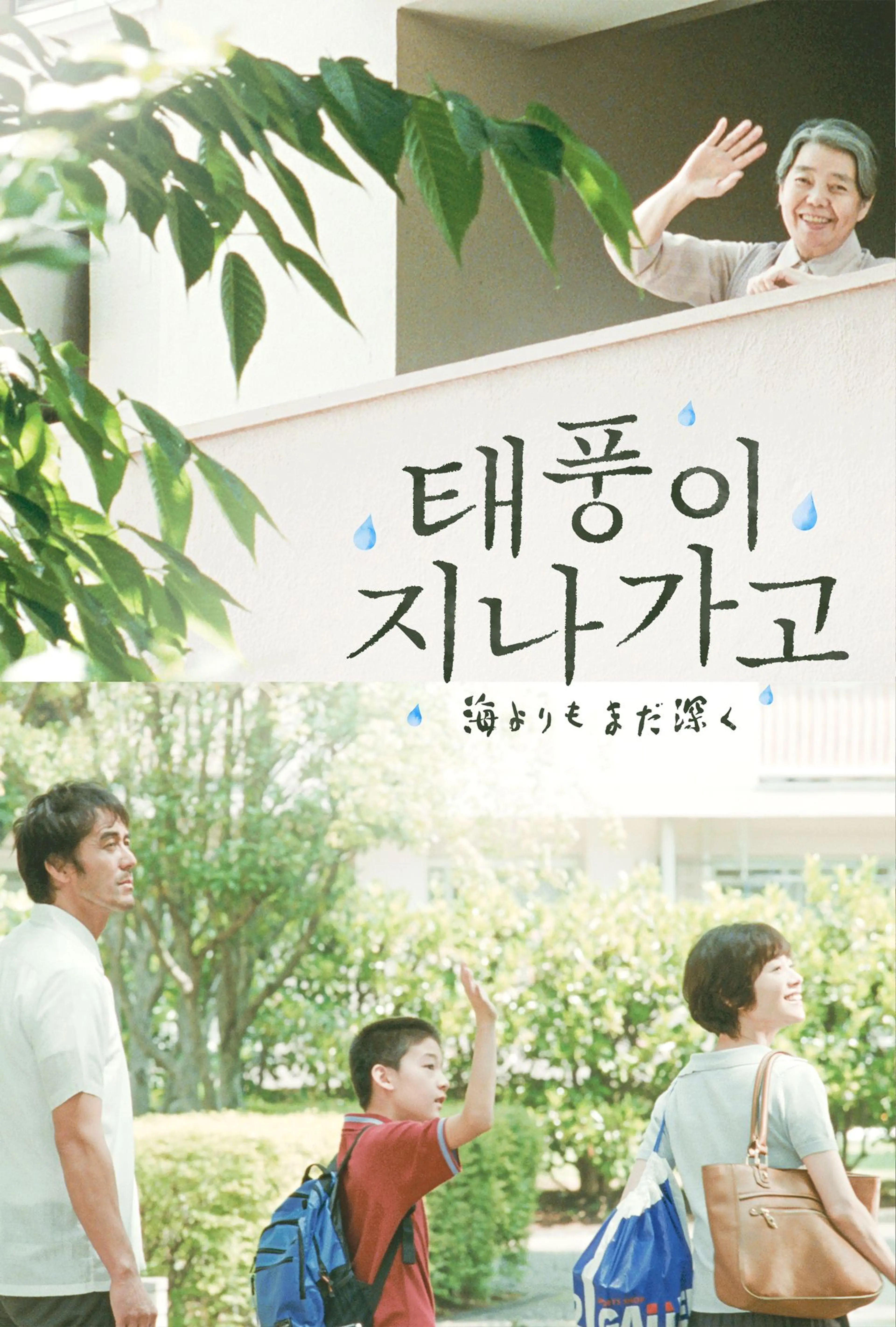 태풍이 지나가고