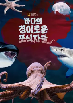 바다의 경이로운 포식자들
