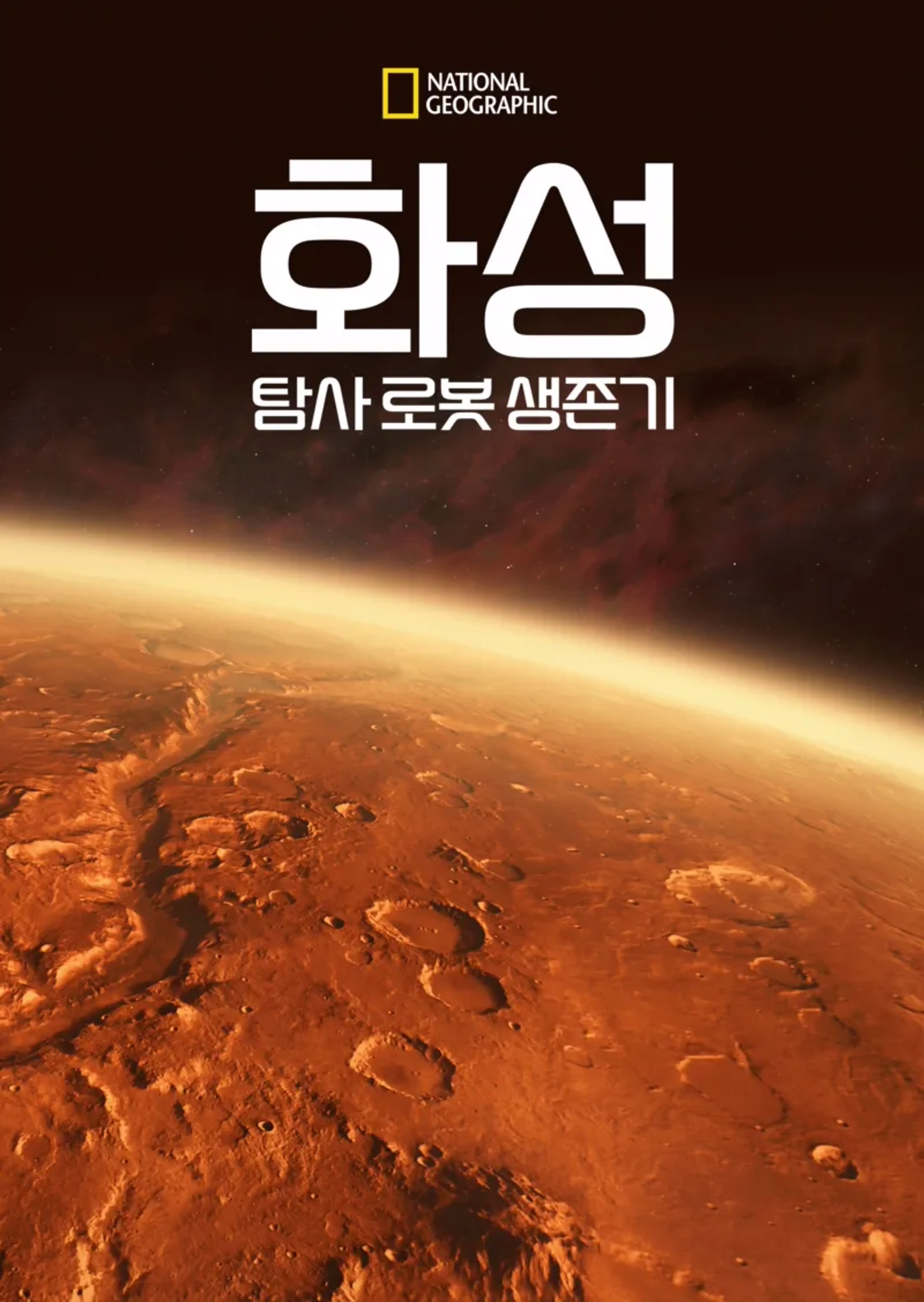 화성 탐사 로봇 생존기