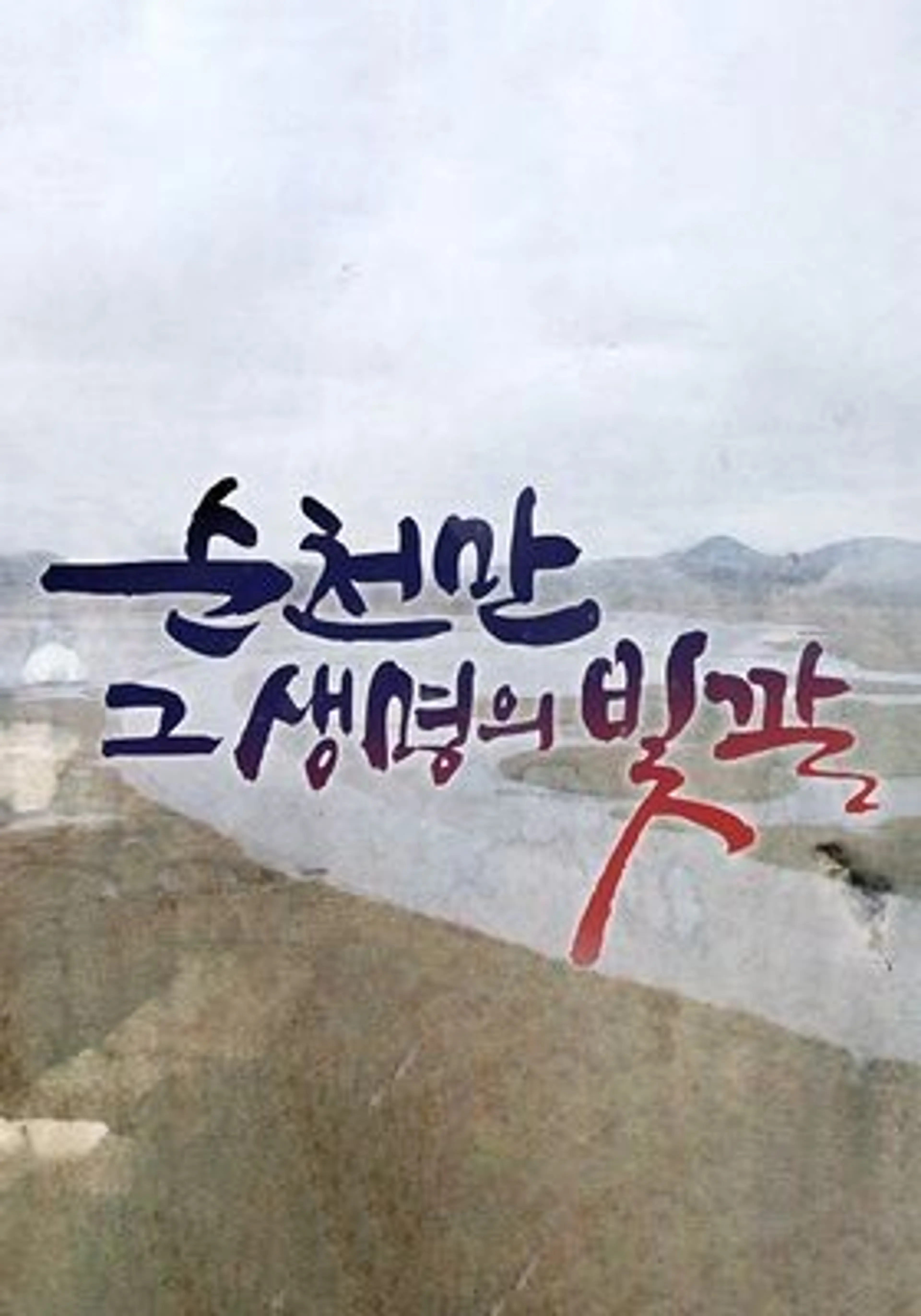 순천만, 그 생명의 빛깔