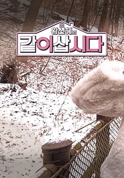 황신혜의 같이 삽시다