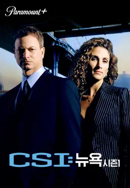 CSI 뉴욕