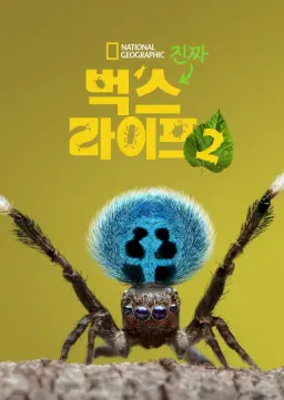 진짜 벅스 라이프