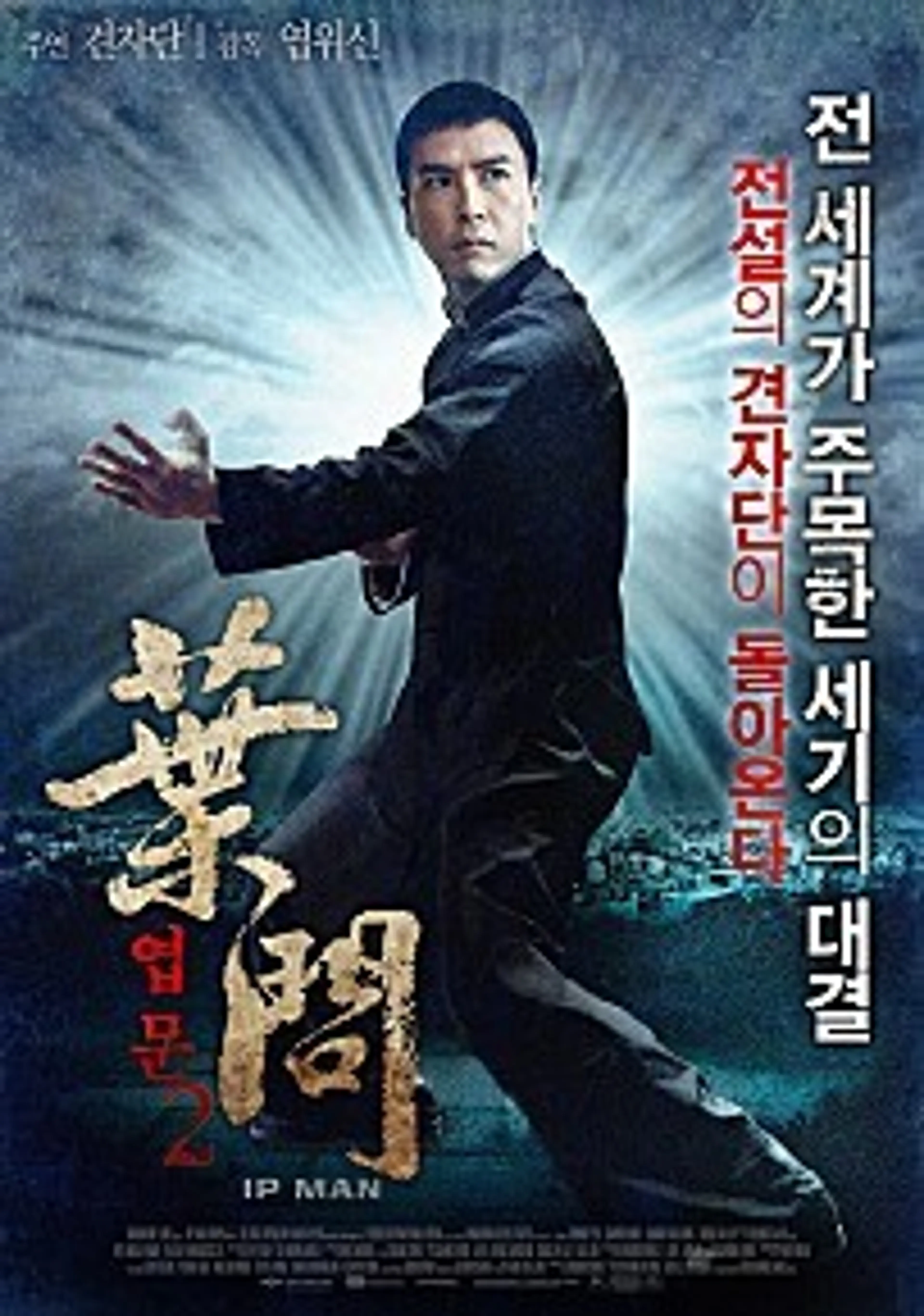 엽문 2 - 특별판