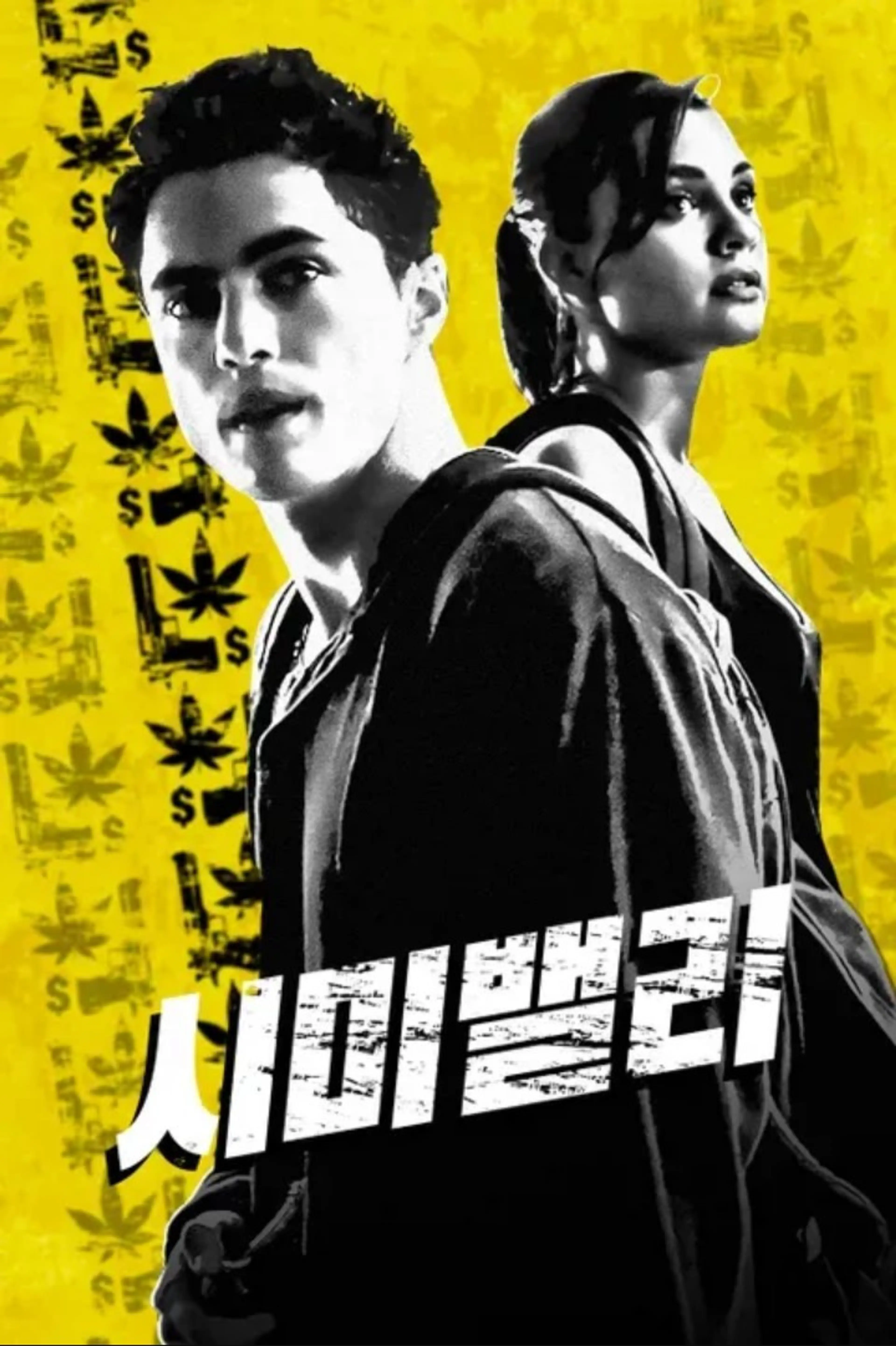 시미 밸리