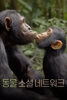 동물 소셜 네트워크