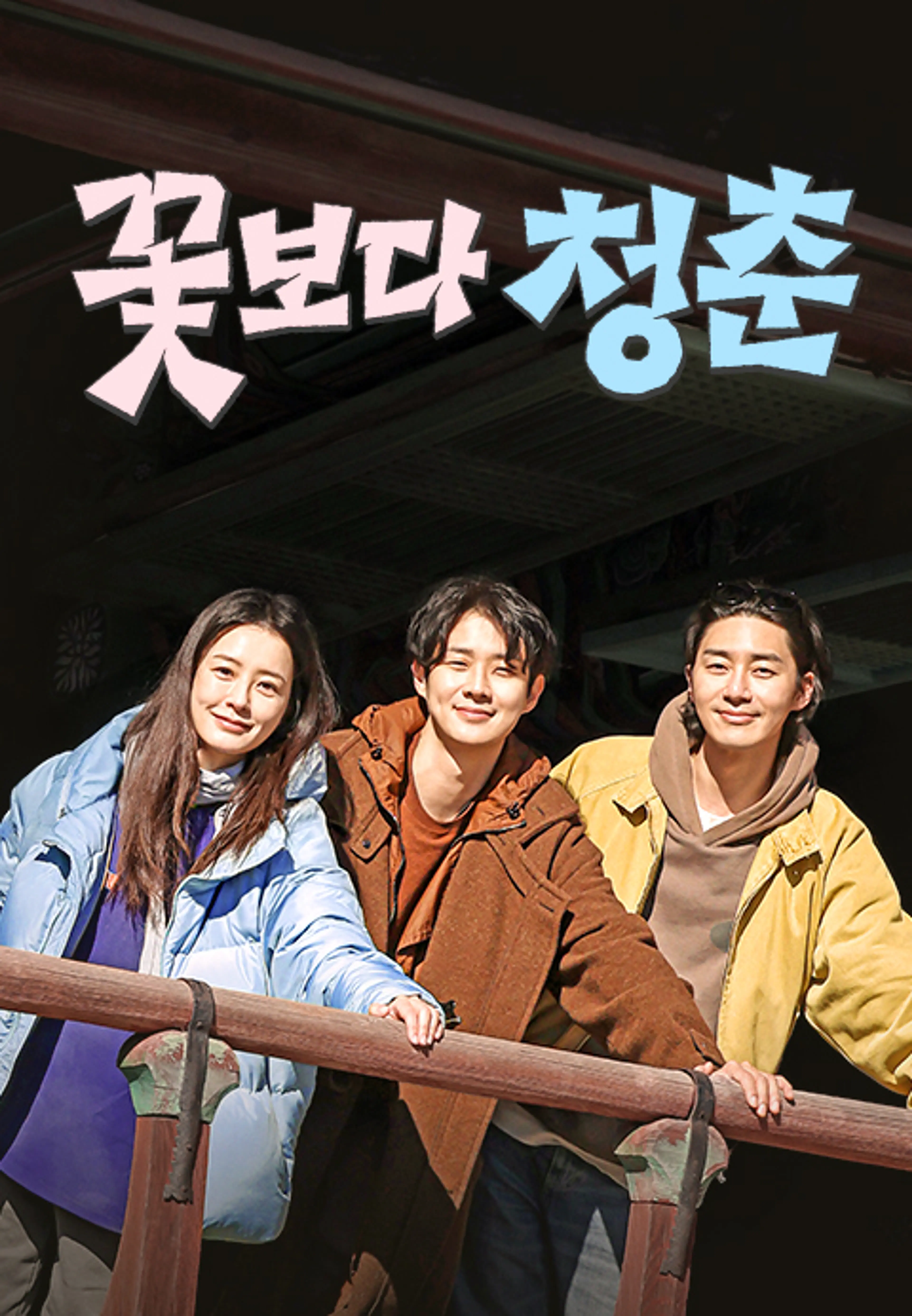 꽃보다 청춘: 리미티드 에디션