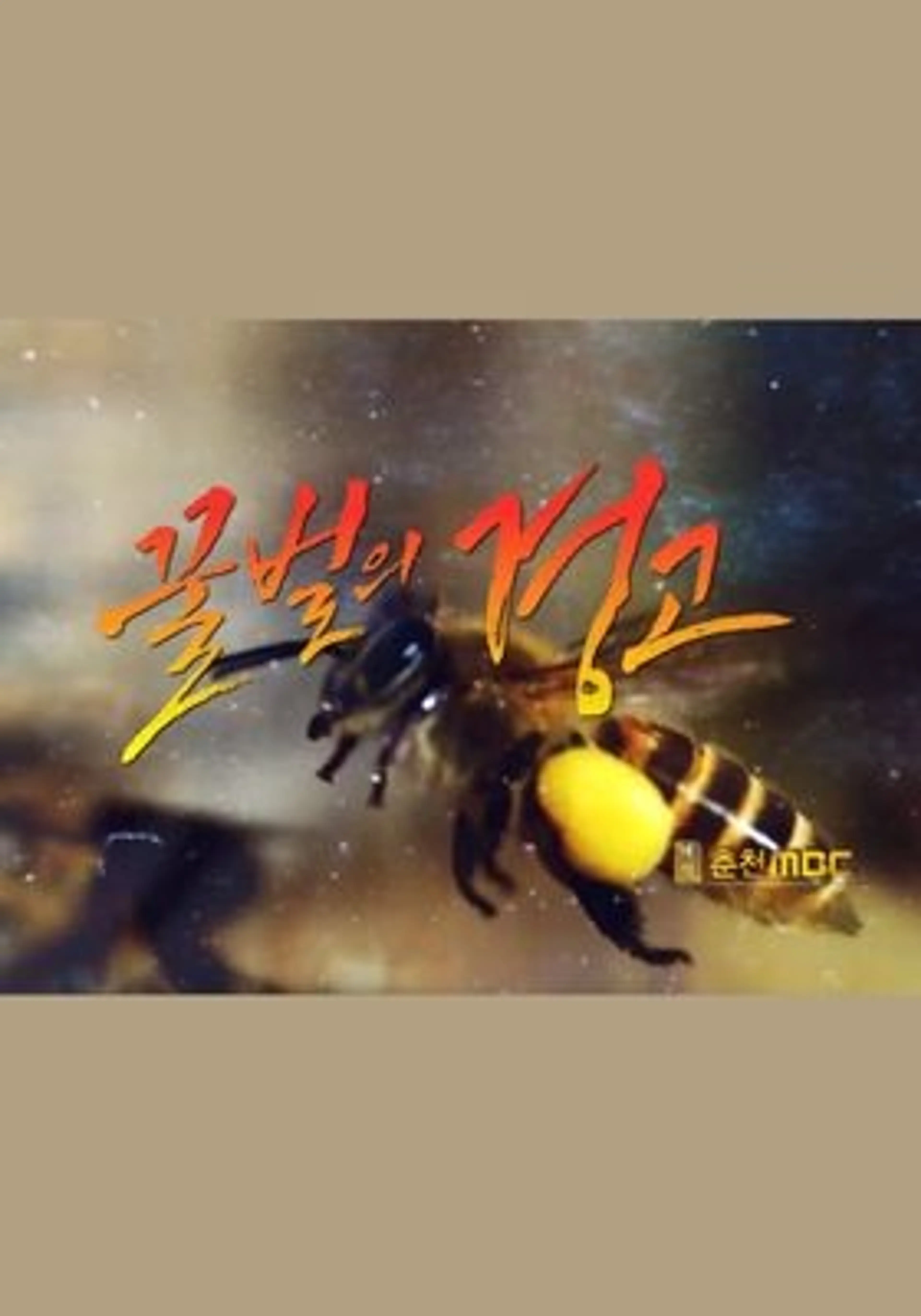 꿀벌의 경고