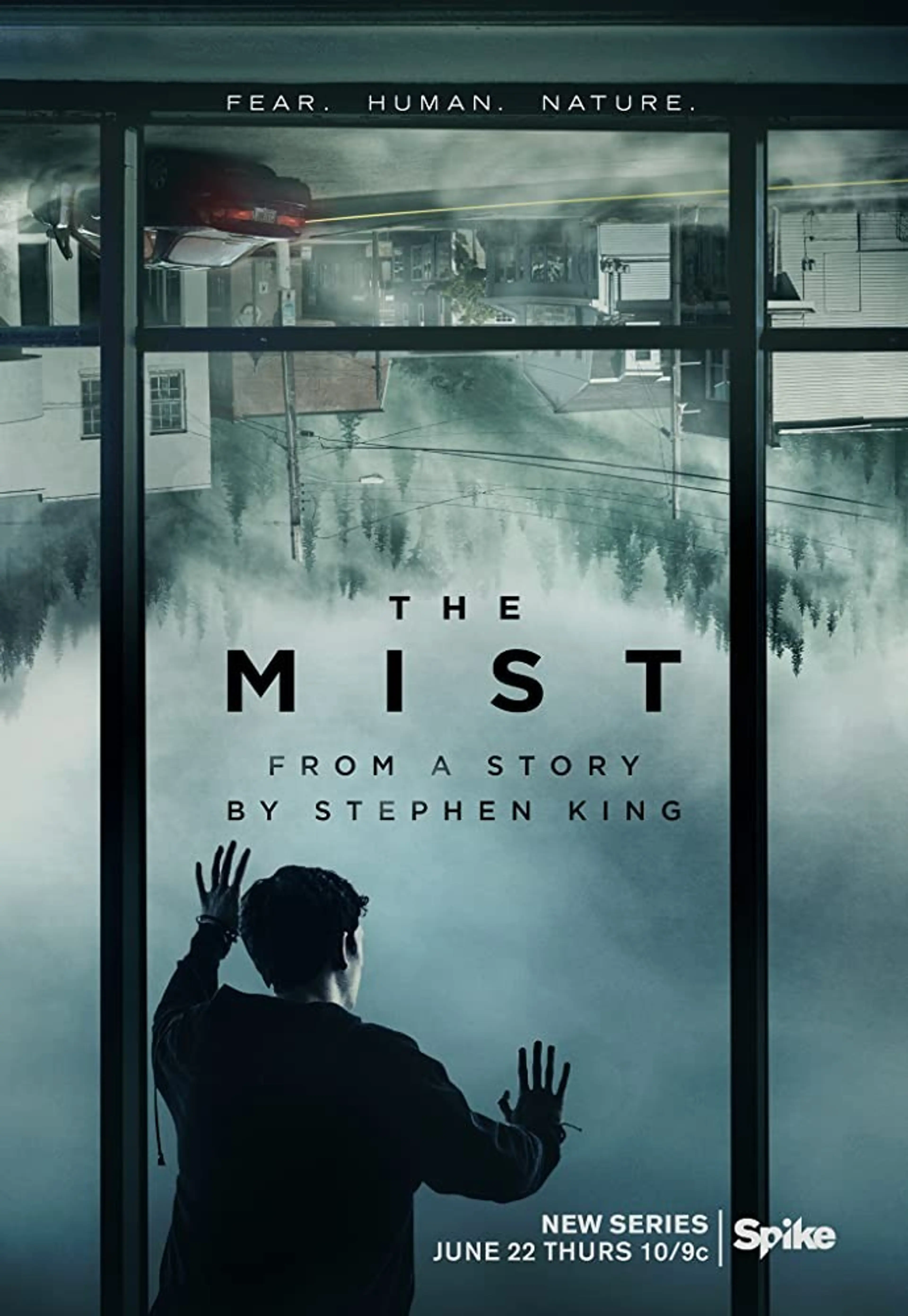 미스트