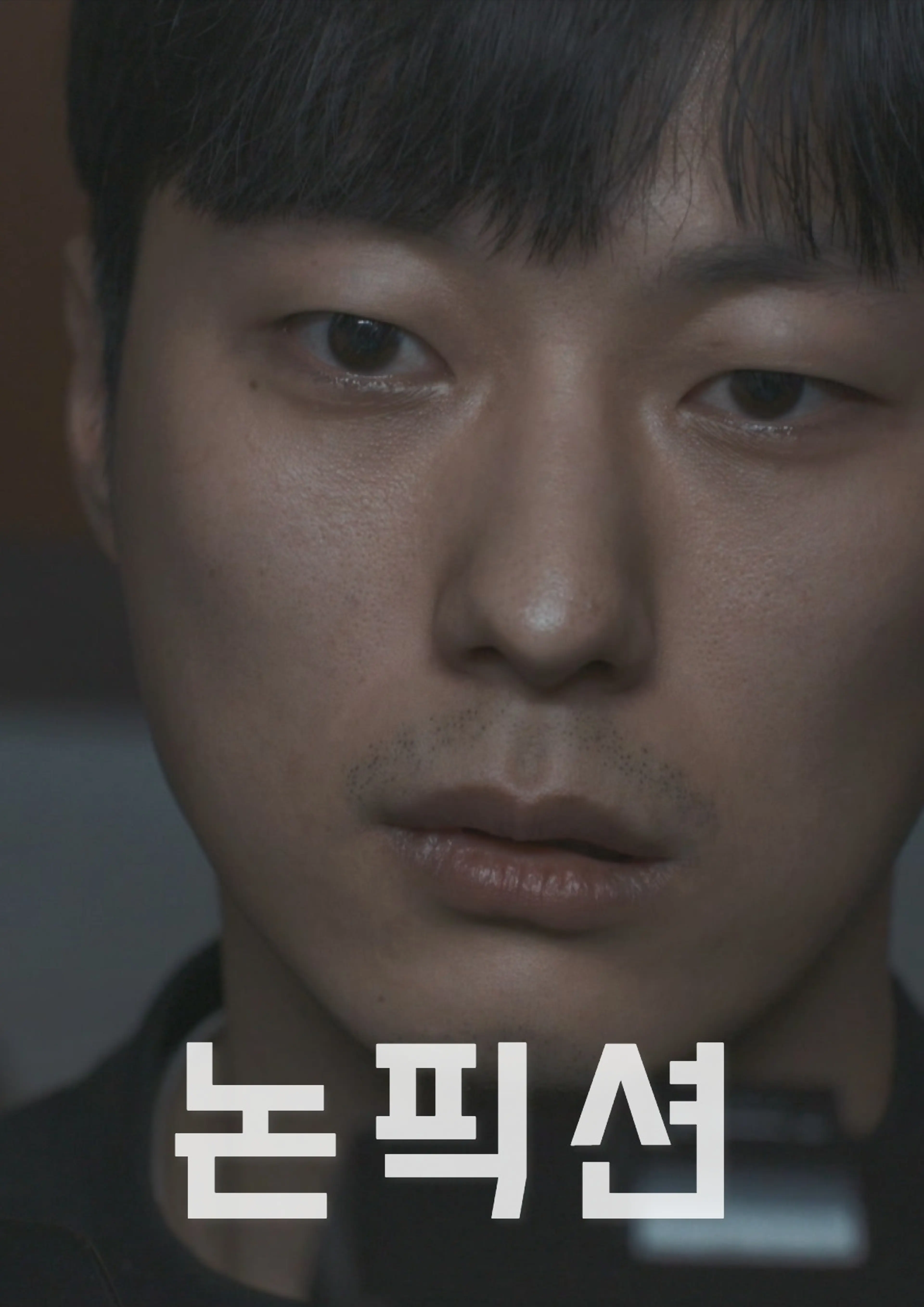 논픽션