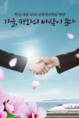 특집 대담 2018 남북정상회담 평양 가을, 평화의 바람이 분다