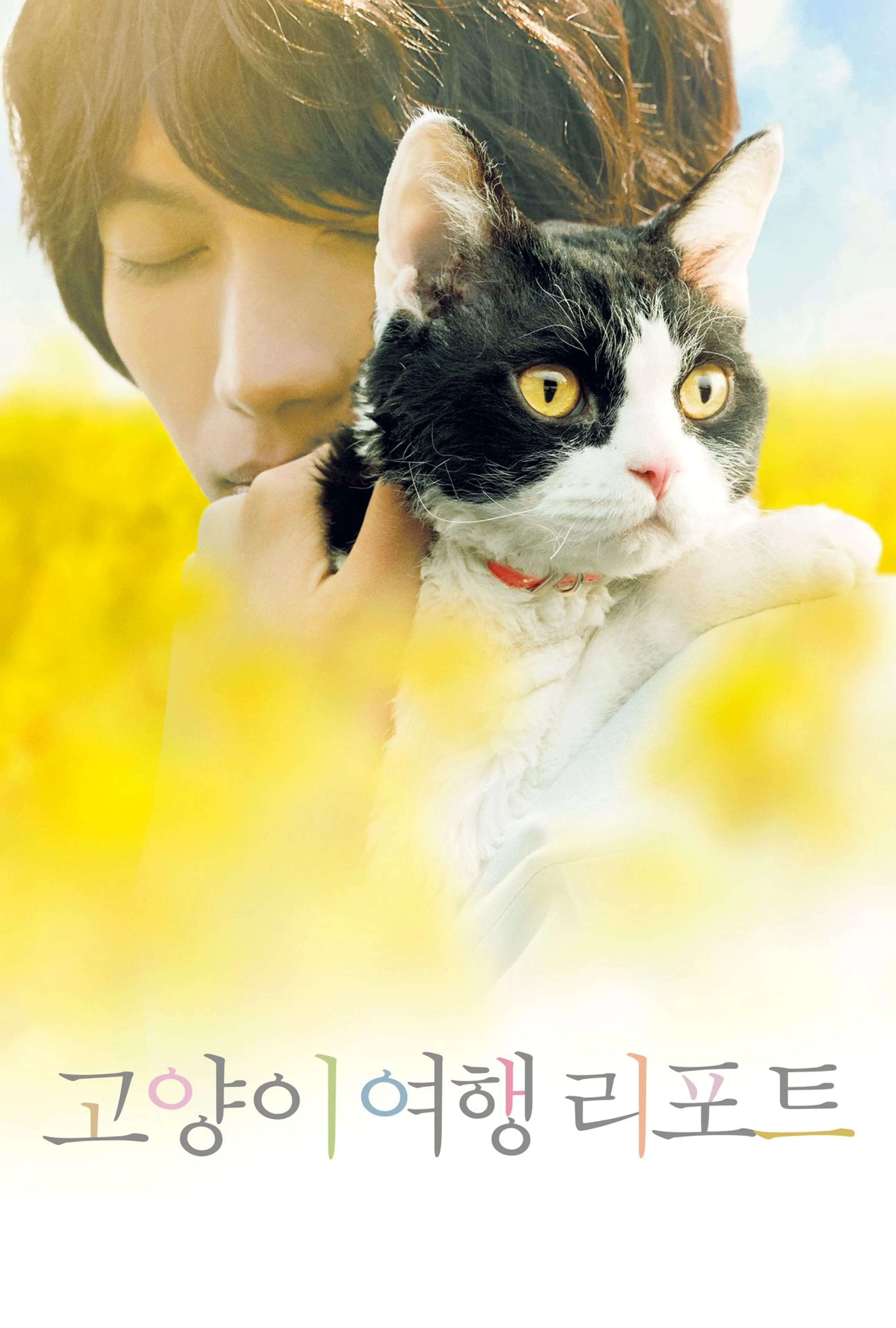 고양이 여행 리포트