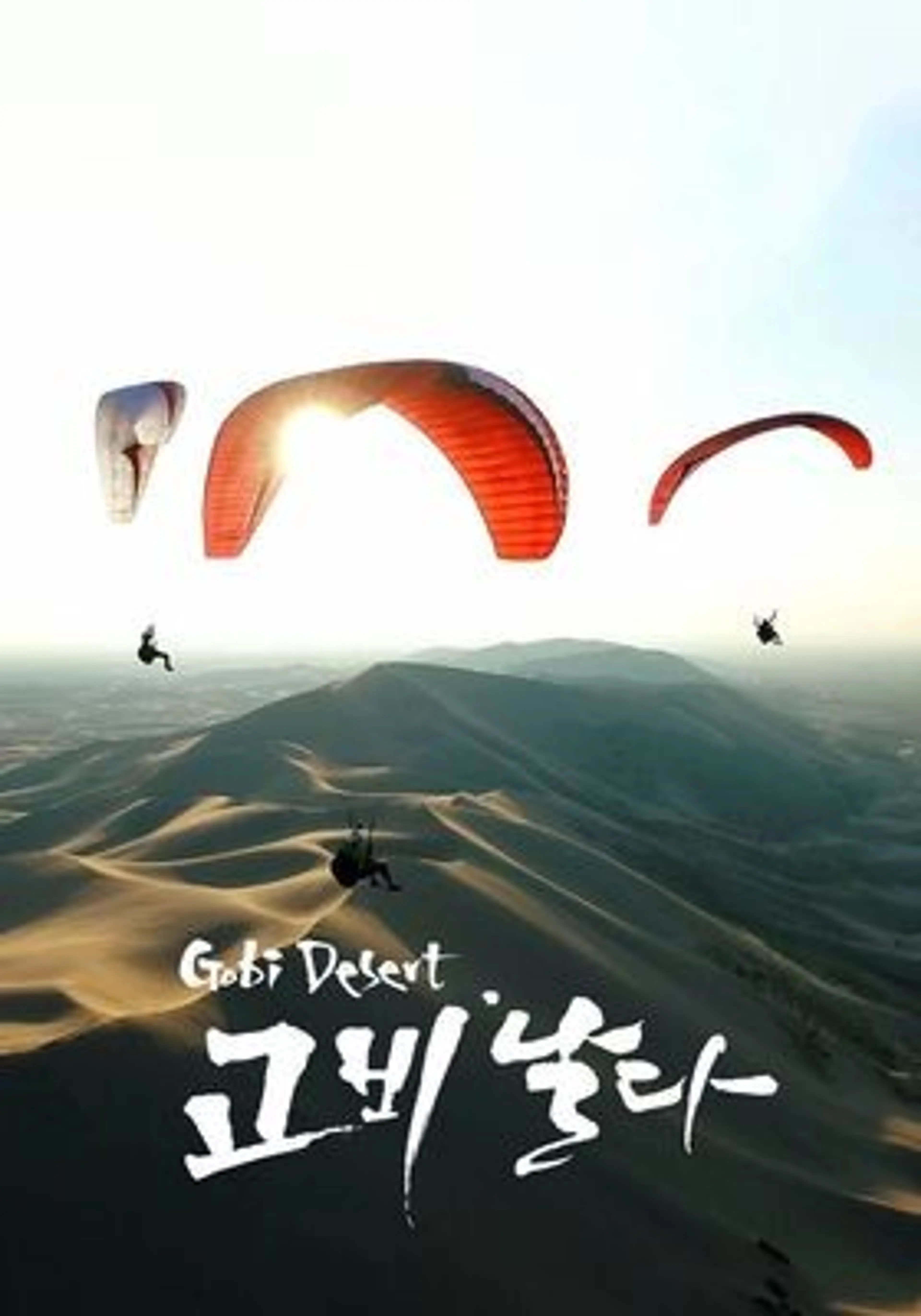 고비날다